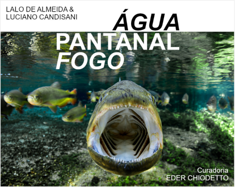 20250827_Pantanal_Fogo.png