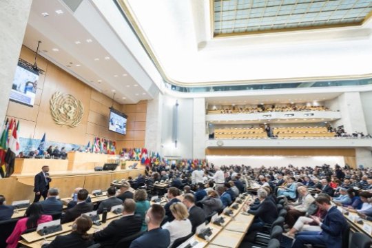 20260702_UN_ILO_Elevates_Social.jpg