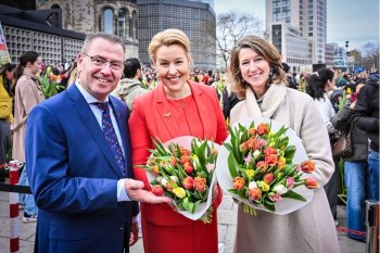 20260319_EUROPE_Dutch_Transform.jpg