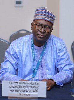 Geneva_Amb_Gambia.jpg