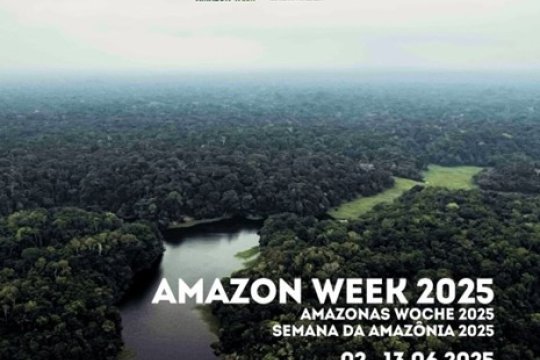 20250624_Brazilian_amazon.jpg