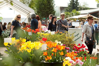 20260505_TOURISM_Gardening.png