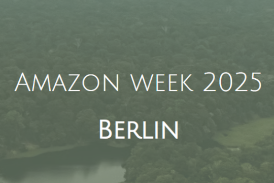 20251023_Amazon_Week25.png